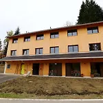 Dog-friendly In Bregenzerwald Appartement