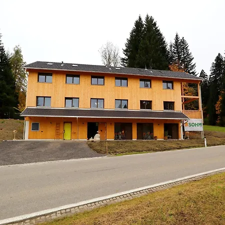 Dog-friendly In Bregenzerwald Apartment