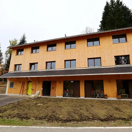 Dog-friendly In Bregenzerwald Apartment