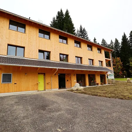 Апартаменты Dog-friendly In Bregenzerwald Sibratsgfall