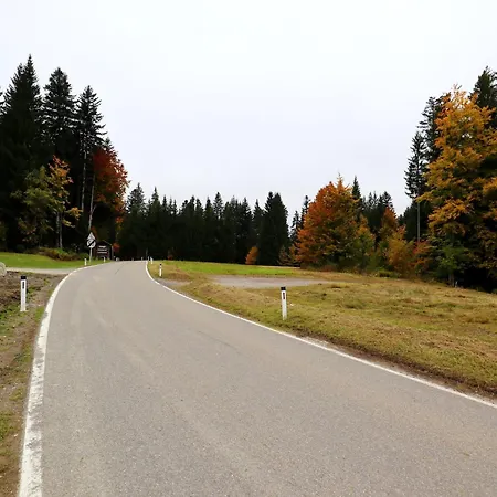 Апартаменты Dog-friendly In Bregenzerwald