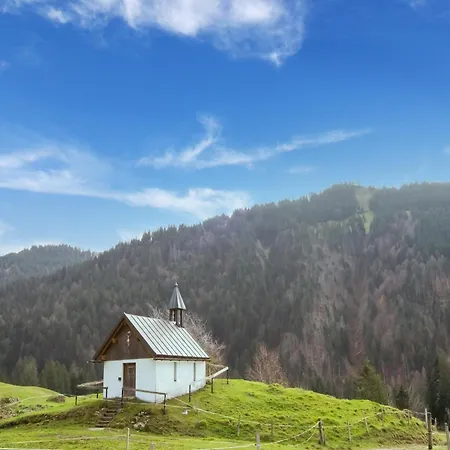 Dog-friendly In Bregenzerwald Apartment *