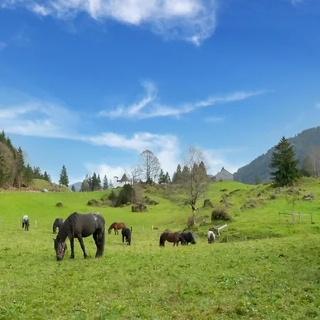 Apartment Dog-friendly In Bregenzerwald