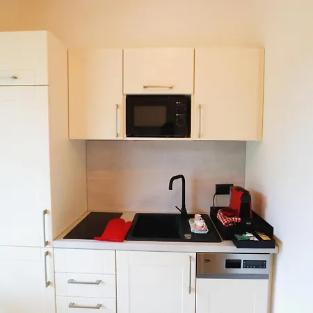 Appartement Dog-friendly In Bregenzerwald *