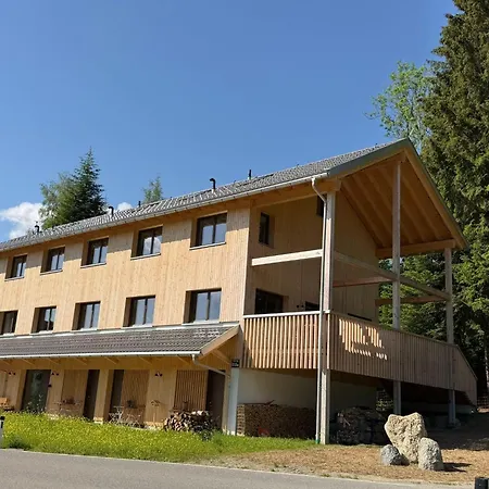Dog-friendly In Bregenzerwald Apartment