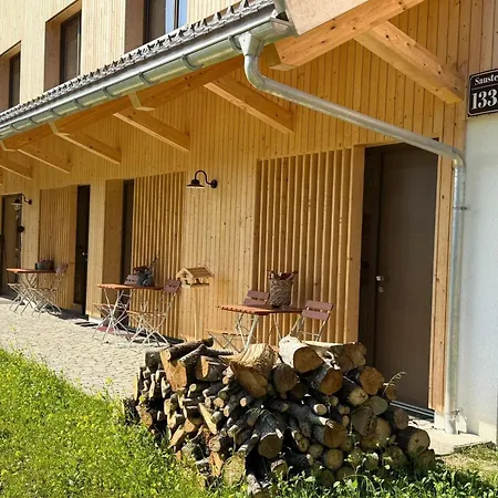 Dog-friendly In Bregenzerwald *