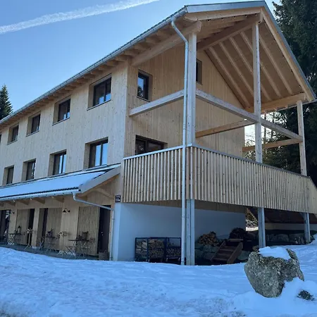 Dog-friendly In Bregenzerwald